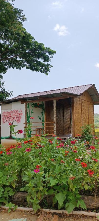 Kaewma Farmstay Khuang Kom Bagian luar foto