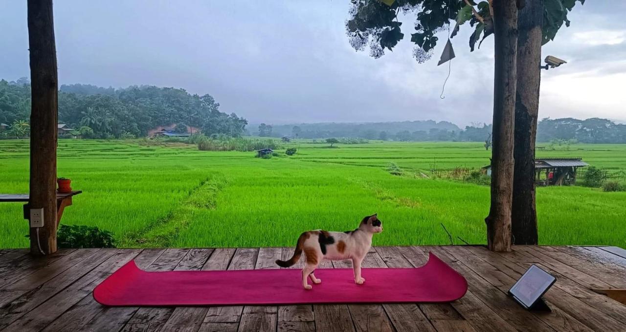 Kaewma Farmstay Khuang Kom Bagian luar foto