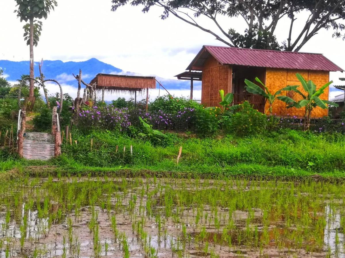 Kaewma Farmstay Khuang Kom Bagian luar foto