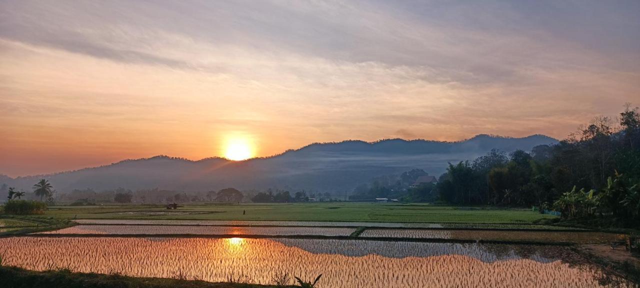 Kaewma Farmstay Khuang Kom Bagian luar foto