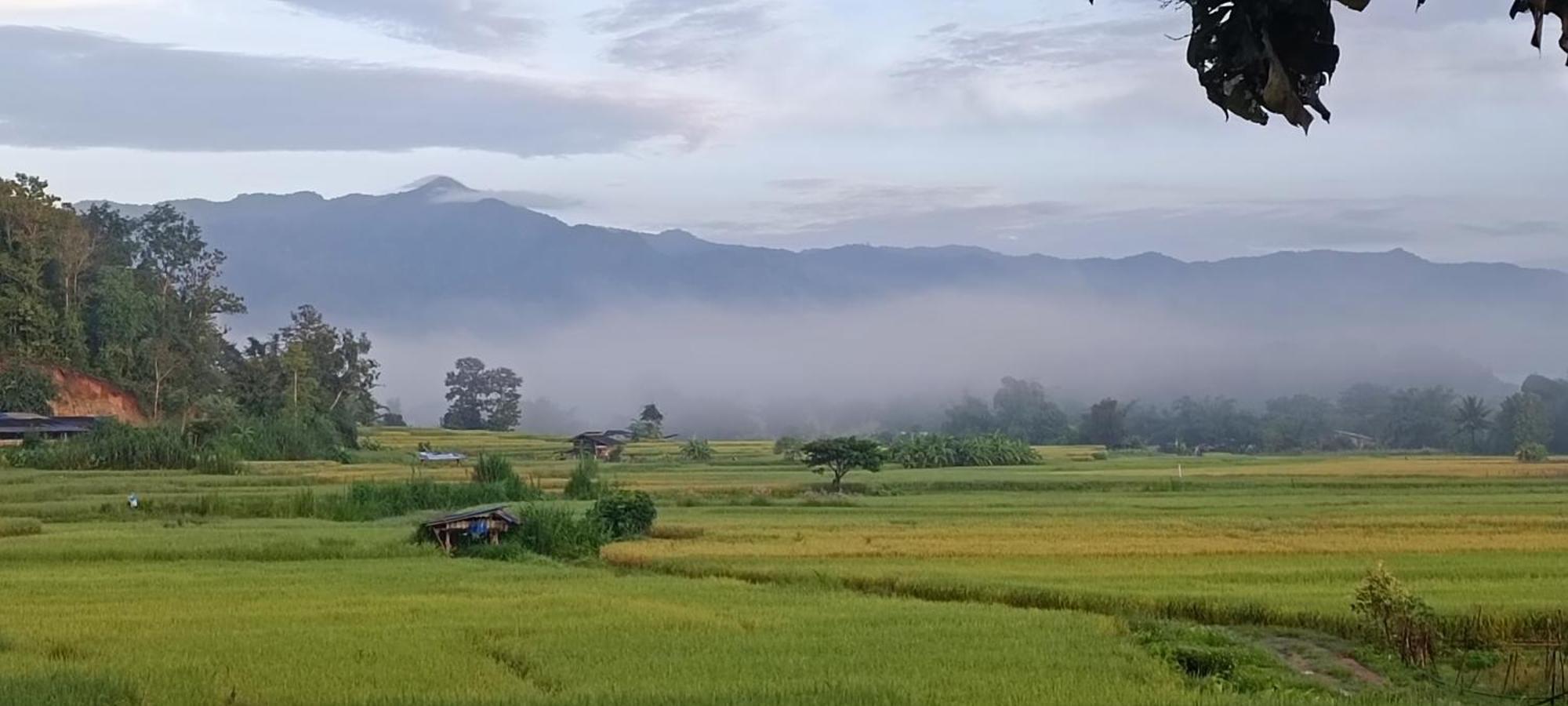 Kaewma Farmstay Khuang Kom Bagian luar foto
