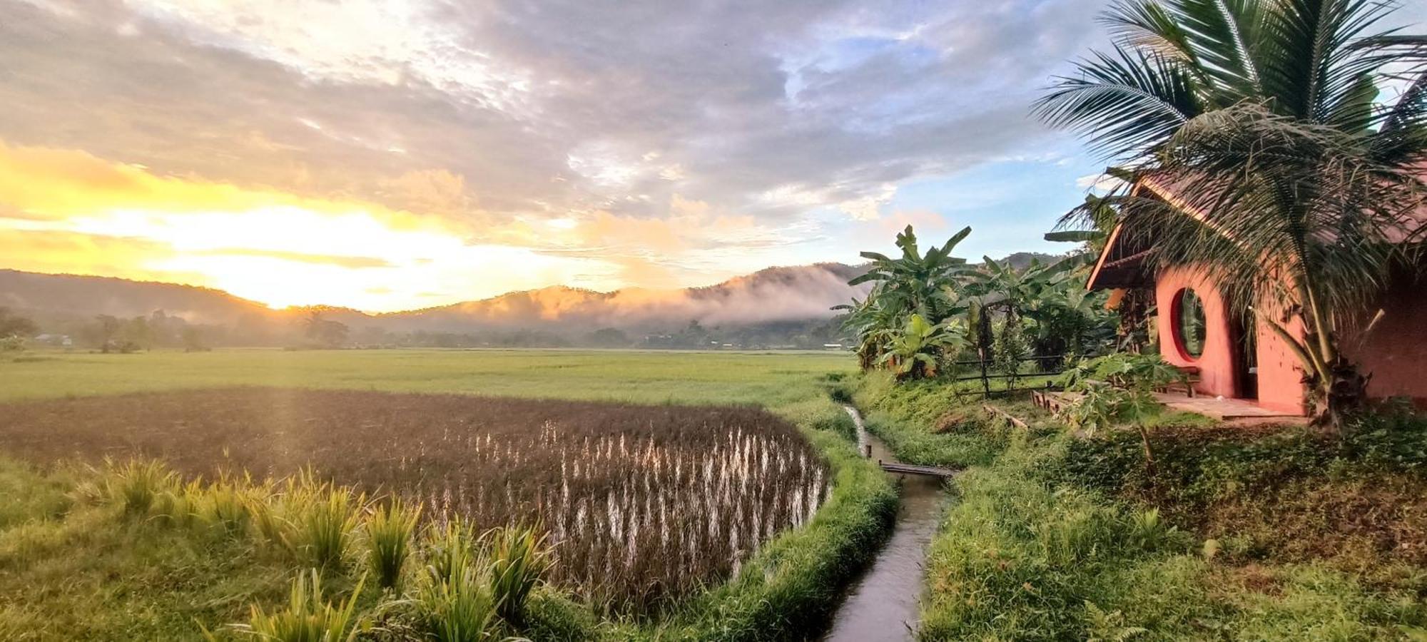Kaewma Farmstay Khuang Kom Ruang foto